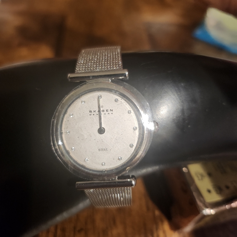 Skagen Denmark watch